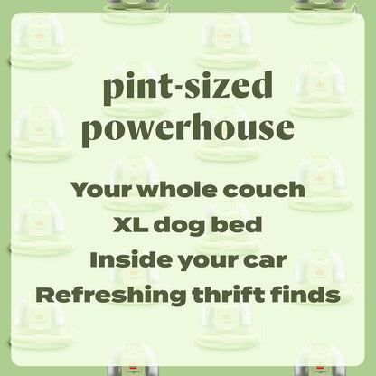 BISSELL Little Green Portable Carpet & Upholstery Cleaner