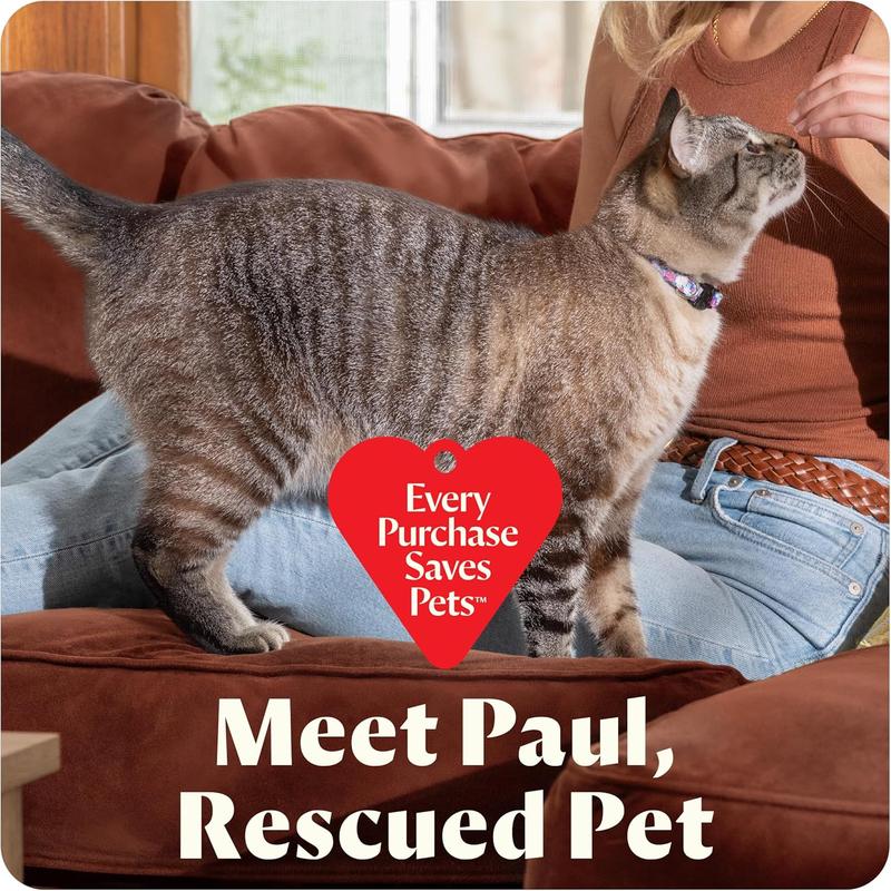 BISSELL Little Green Portable Carpet & Upholstery Cleaner